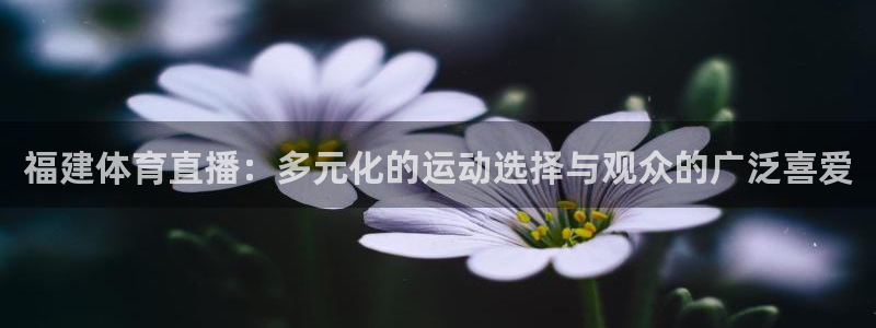 360体育免费直播nba在线观看高清：福建体育直播：多元化的运动选择与观众的广泛喜爱